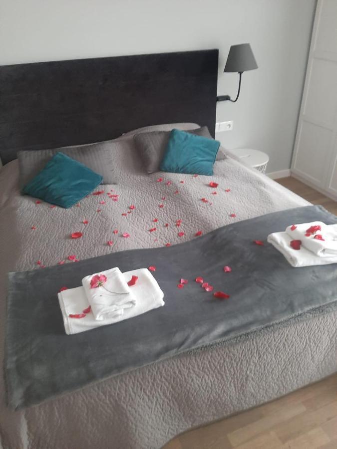 Apartamenty Koci Ogon Stary Toruń Esterno foto