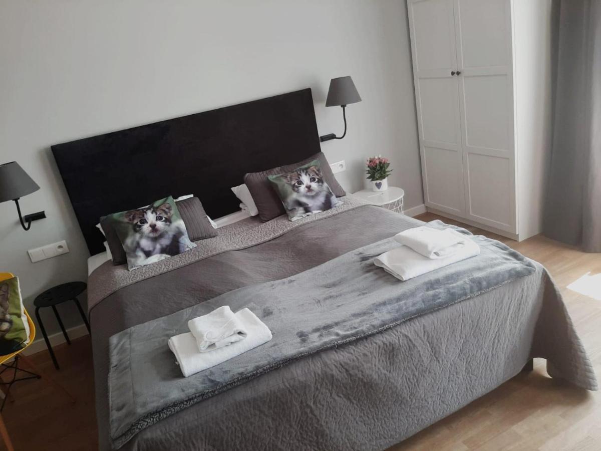 Apartamenty Koci Ogon Stary Toruń Esterno foto