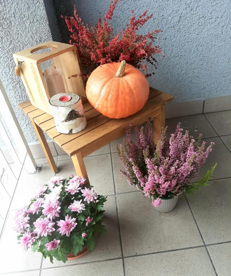 Apartamenty Koci Ogon Stary Toruń Esterno foto
