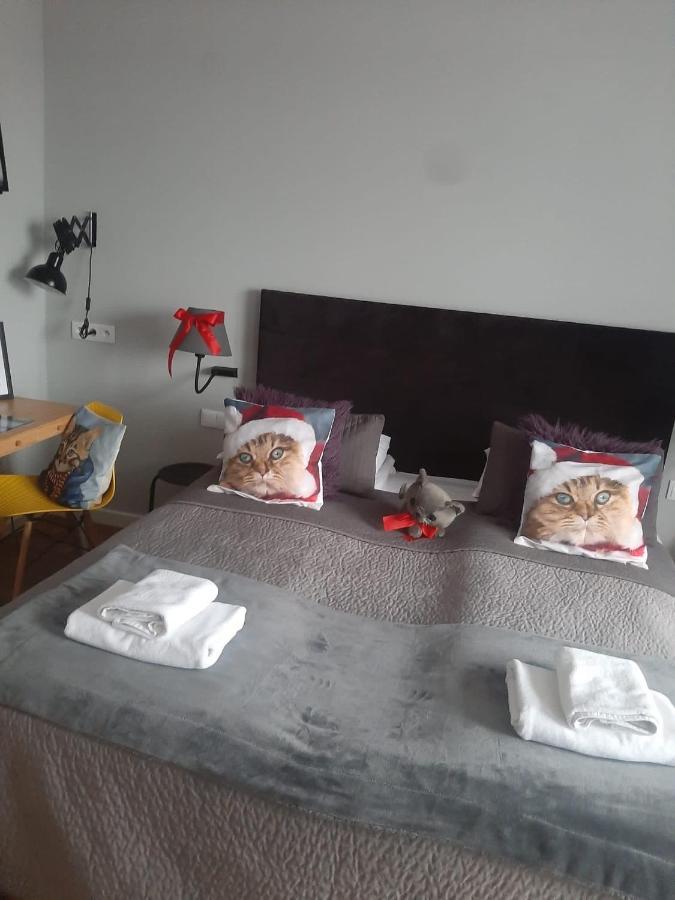 Apartamenty Koci Ogon Stary Toruń Esterno foto